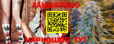 тгк Жуковский