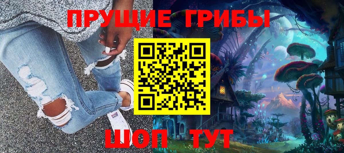 Галлюциногенные грибы Psilocybine cubensis  Вход с VPN  Нижнеудинск  Галлюциногенные грибы GOLDEN TEACHER 